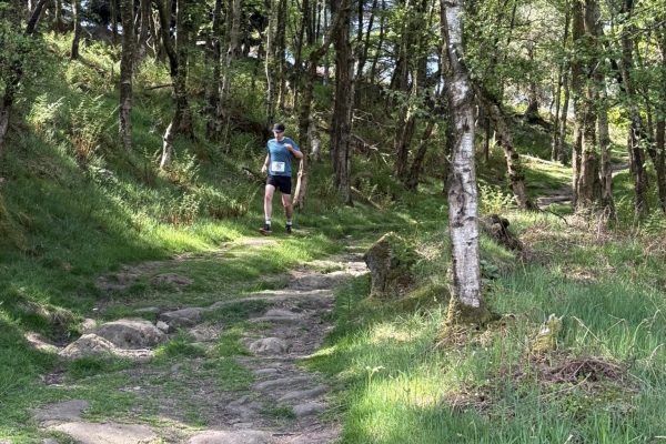 495688479_733097962386020_5535526918944642307_n